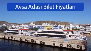 Avşa Adası Bilet Fiyatları