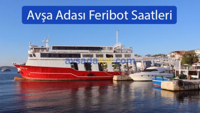 Avşa Adası Feribot Saatleri