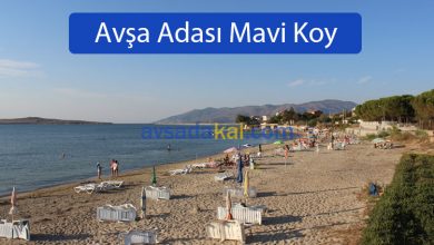 Avşa Adası Mavi Koy Plajı