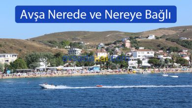 Avşa Adası Nerede ve Nereye Bağlı